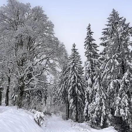 Eliese By Interhome 公寓 *