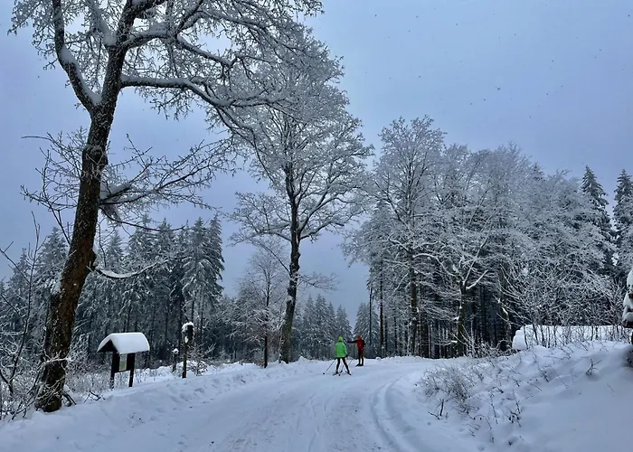 Eliese By Interhome דירה