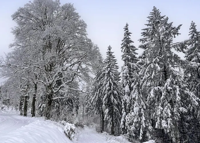 Eliese By Interhome Apartment *